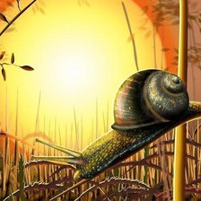 Схема вышивки «Улитка»