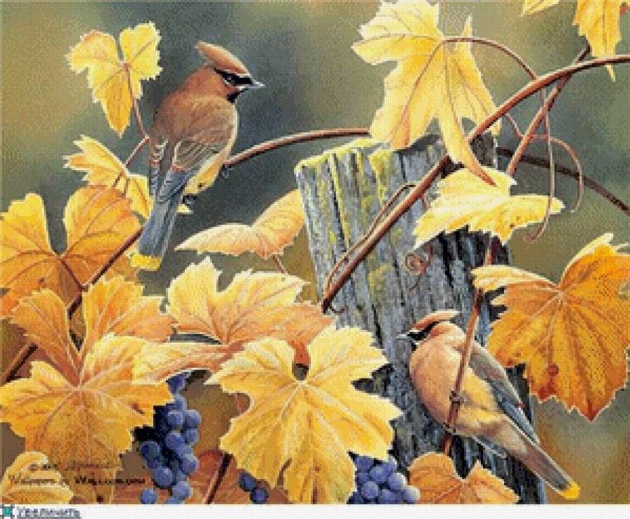 №548210 - птицы - предпросмотр