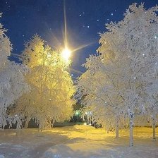 Схема вышивки «Зимний лес»