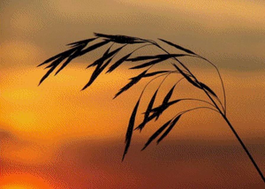 Колос - ветка - предпросмотр