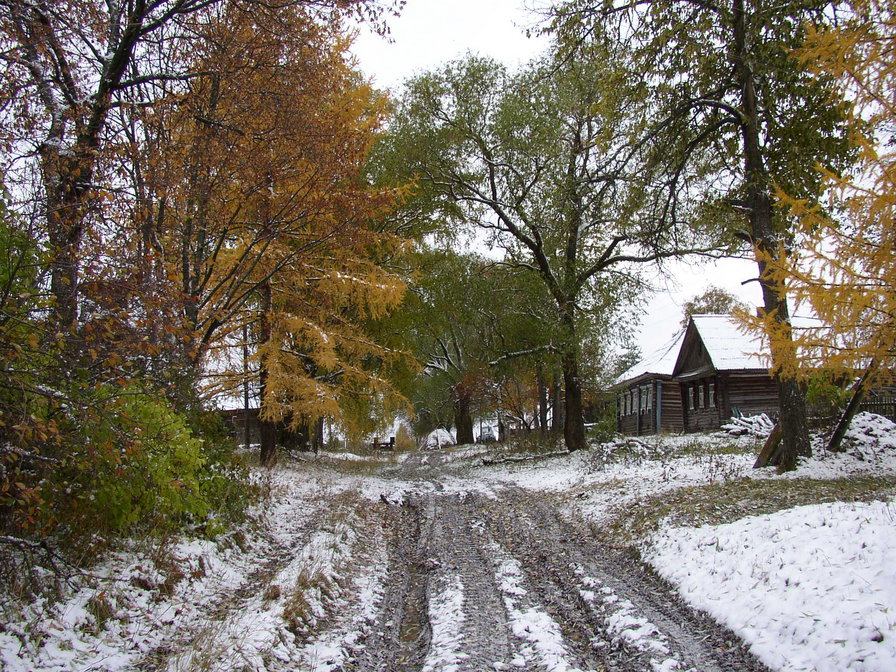 Моя деревня - деревня, дорога, осень - оригинал