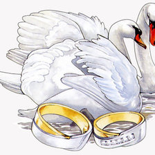 Оригинал схемы вышивки «Свадебные лебеди» (№548544)