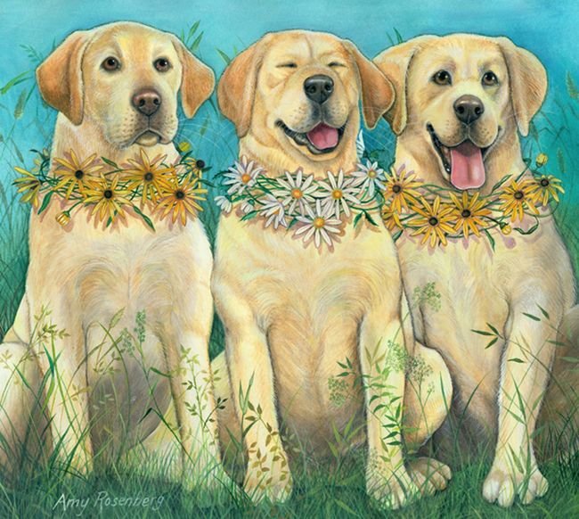 домашние любимцы - оригинал