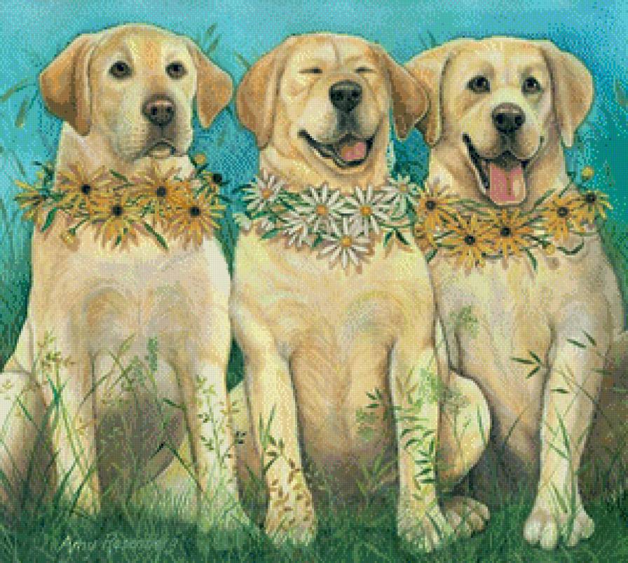 домашние любимцы - предпросмотр