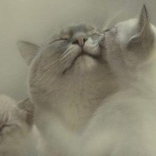 Схема вышивки «любовь мамы»