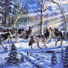 Схема вышивки «Стая волков»