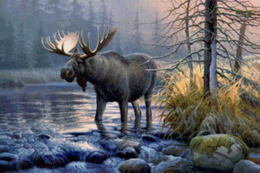 Лось - животные, лось, природа - предпросмотр