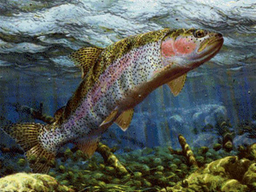 Рыба - море, рыба - предпросмотр