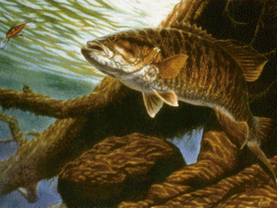 Большая рыба - рыба, море - предпросмотр