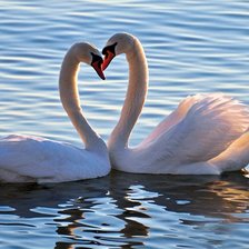 Схема вышивки «лебединая пара»