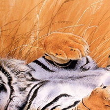 Схема вышивки «Лень матушка»