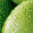Предпросмотр схемы вышивки «Зелёные яблоки» (№548904)