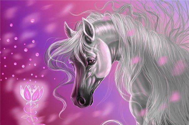 Лошадь - лошадь, животное - оригинал