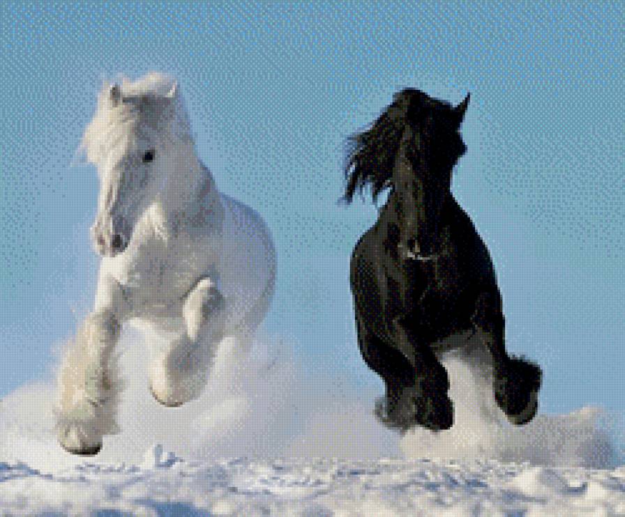 Символ 2014 года - бег, вороной конь, кони, 2014 год, символ, зима, белый конь - предпросмотр