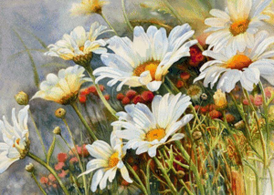 Любимые Ромашки - ромашки цветы - предпросмотр