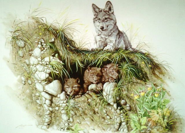 волчица - оригинал