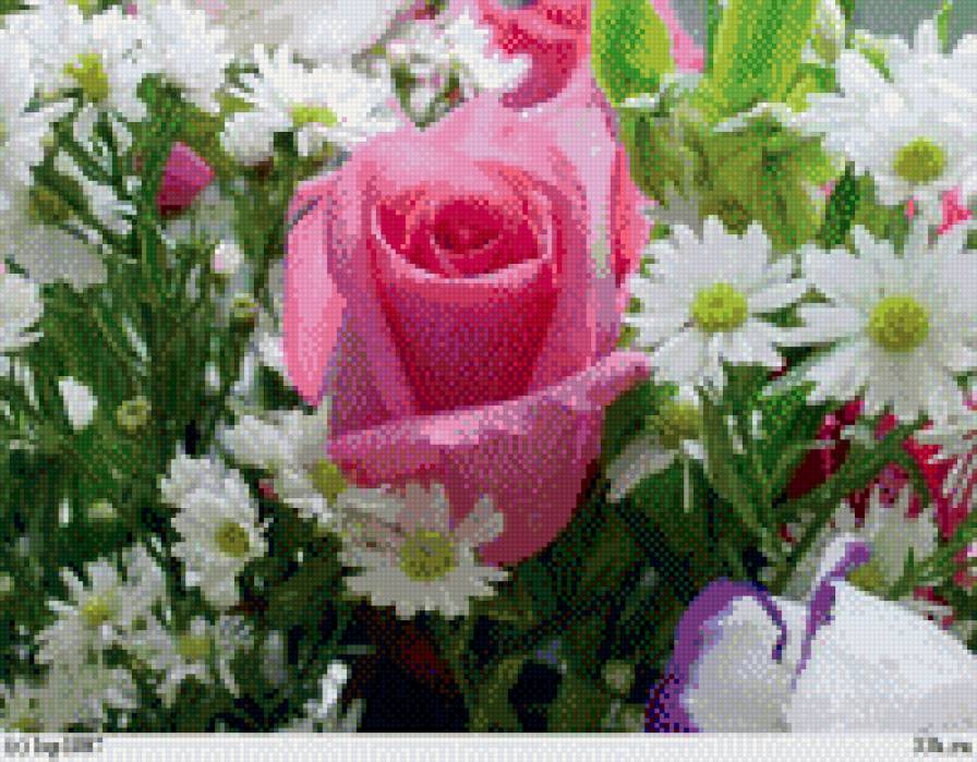 Букет роз - цветы - предпросмотр