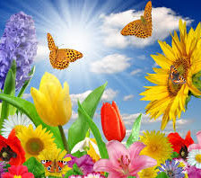 Оригинал схемы вышивки «Бабочки над цветами» (№549334)