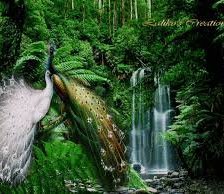 Павлины у воды