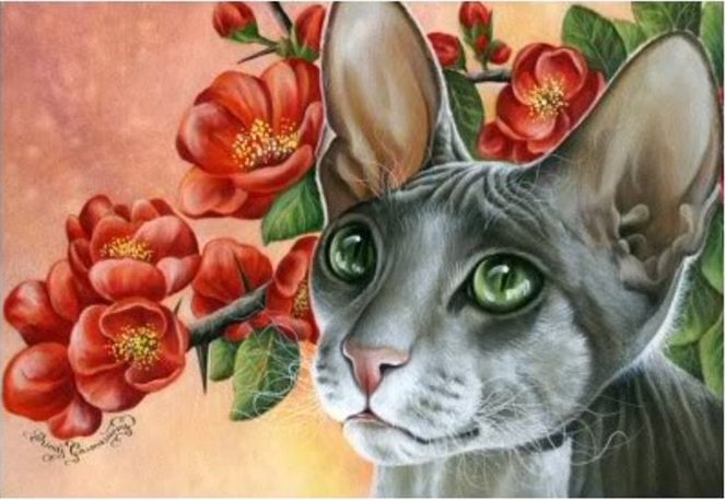 домашние любимцы - оригинал