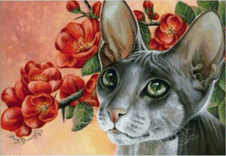 домашние любимцы - предпросмотр