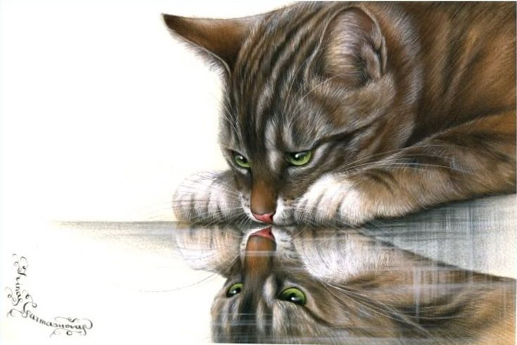 отражение - оригинал