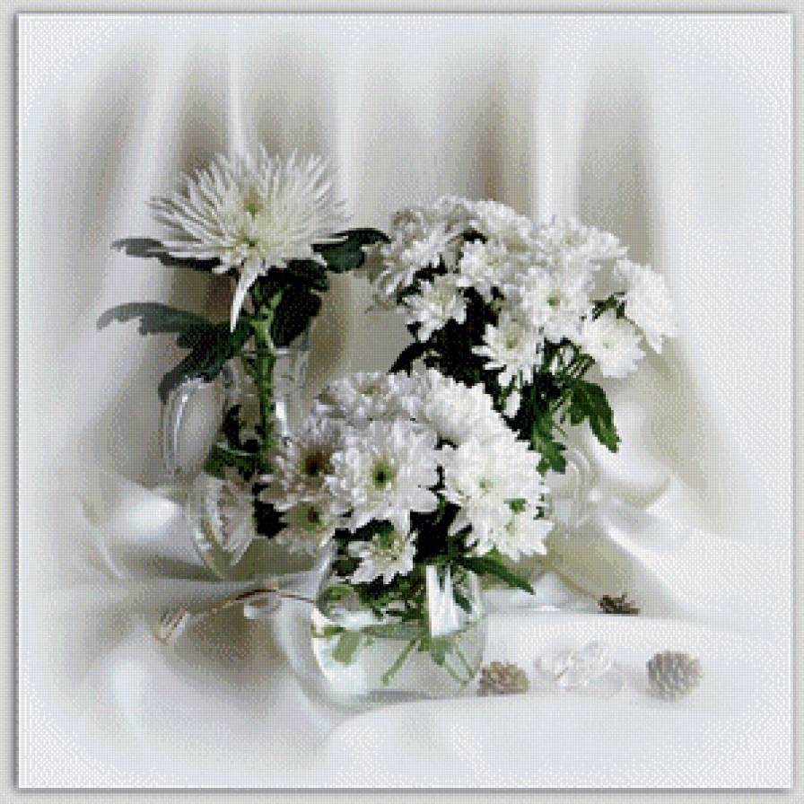 Белый натюрморт - хризантемы, натюрморт, праздник - предпросмотр