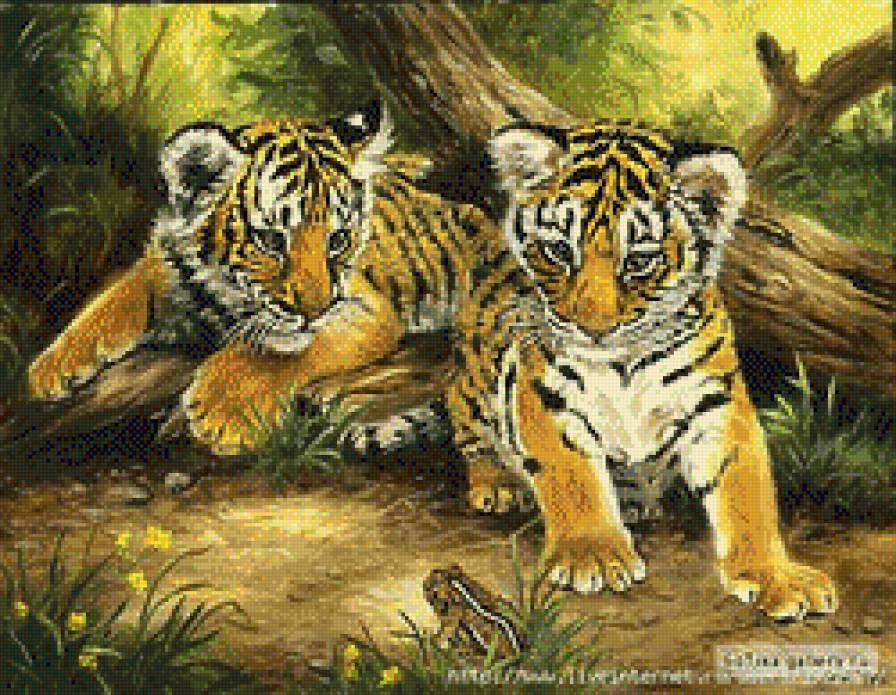 Тигрята - предпросмотр