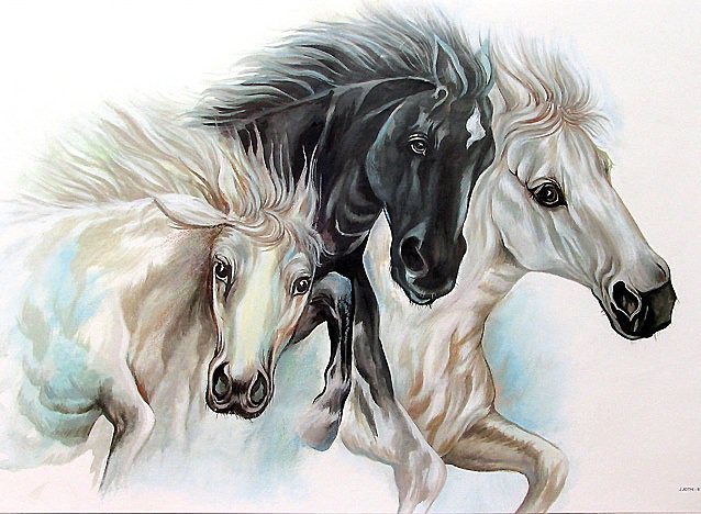 Кони - лошади, кони, животные, тройка - оригинал
