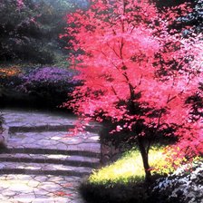 Схема вышивки «в парке»