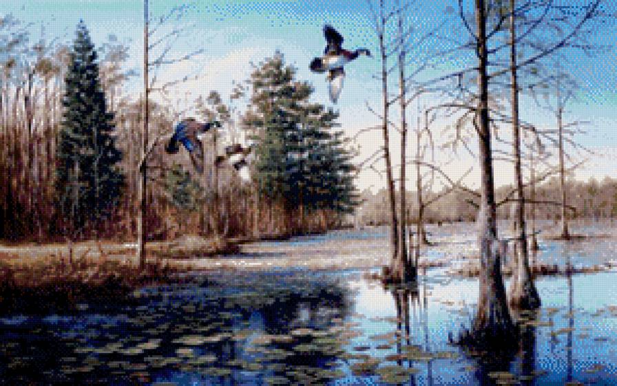 полет уток - утки, природа, пейзаж, птицы, озеро - предпросмотр