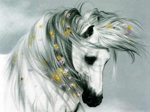 белая лошадь - природа, животные, лошади - оригинал