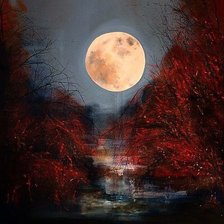 Схема вышивки «Justyna Kopania-Ksiezyc»