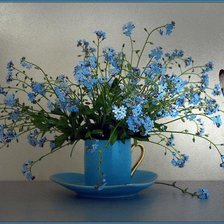 Полевые цветы