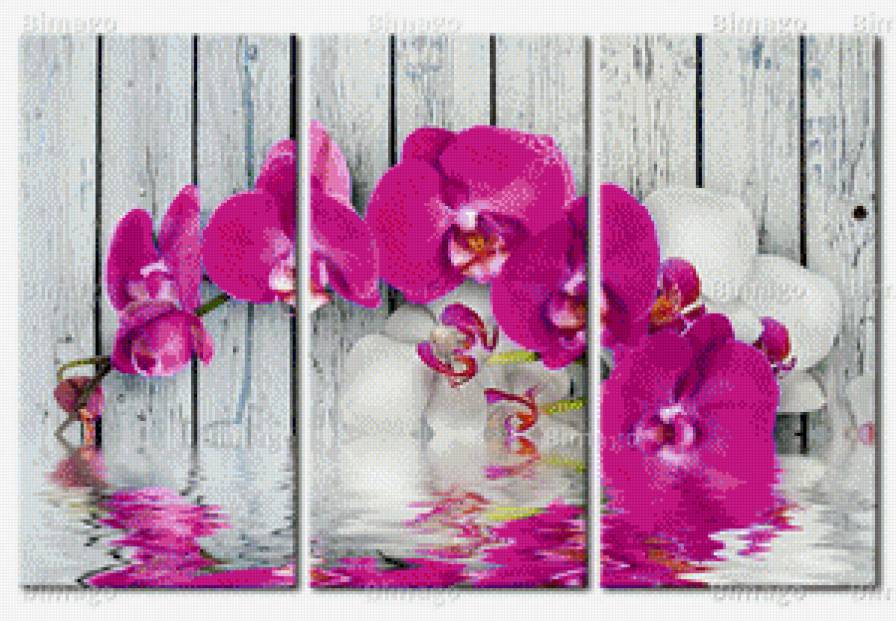 Орхидея - орхидея, отражение, триптих - предпросмотр