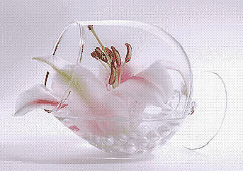 №550140 - цветок - оригинал