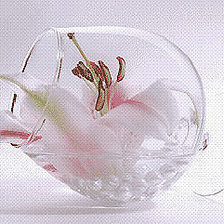 Схема вышивки «№550140»