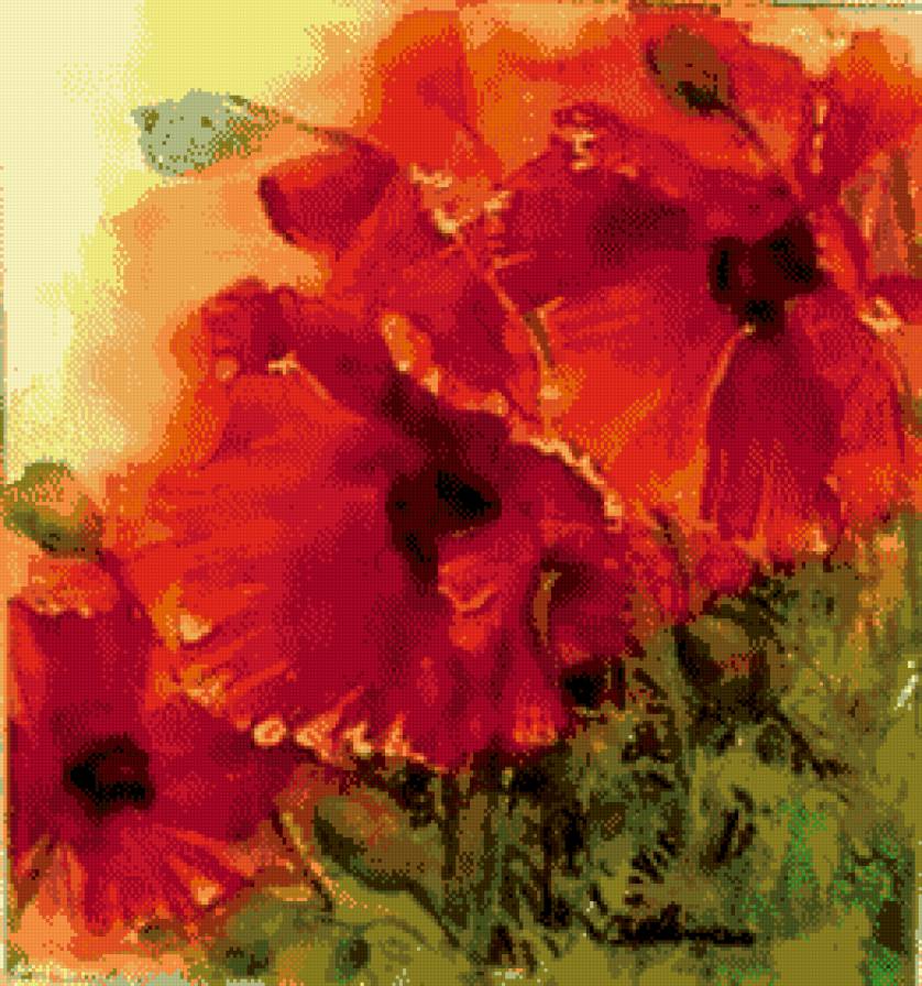 акварель - маки, красные - предпросмотр