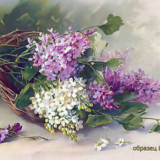 Схема вышивки «№550332»