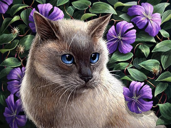 кошки и цветы - лиловые цветы, сиам, кот, клематис, домашние животные, кошка - оригинал