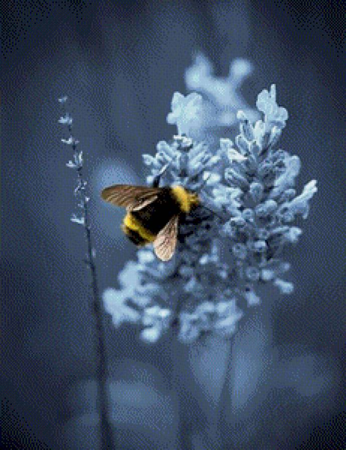 №550414 - предпросмотр