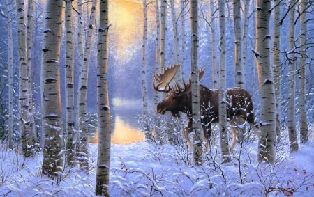 Лесной лось - природа, животные, зима, лось - оригинал