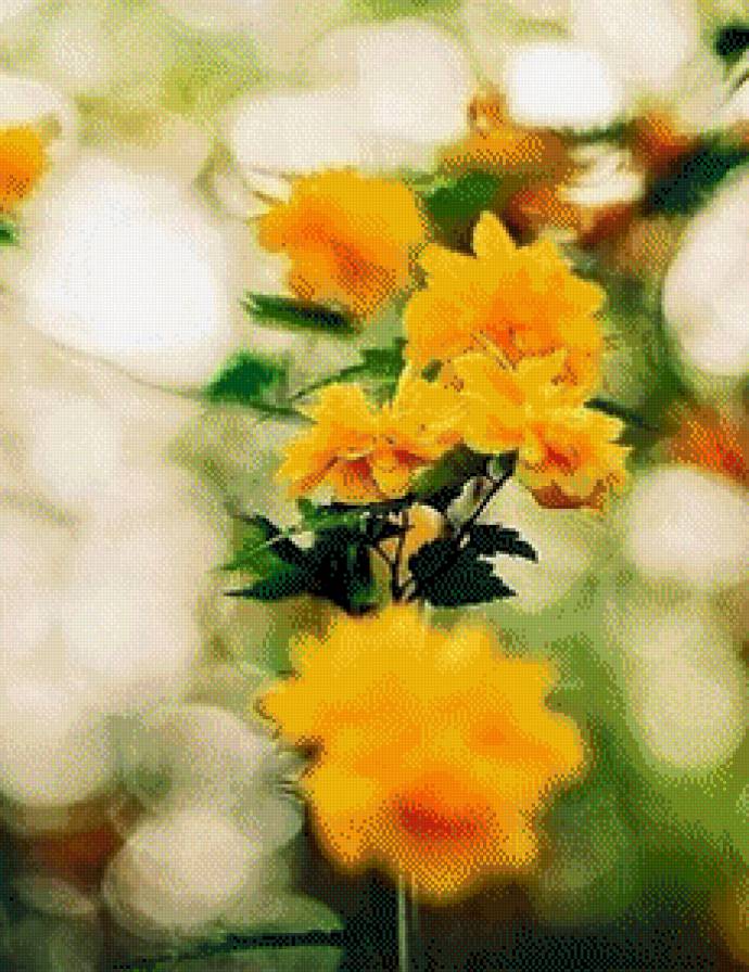 №550452 - цветы - предпросмотр