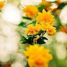 Схема вышивки «№550452»