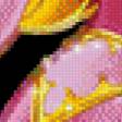 Предпросмотр схемы вышивки «Аврора с розой» (№550542)