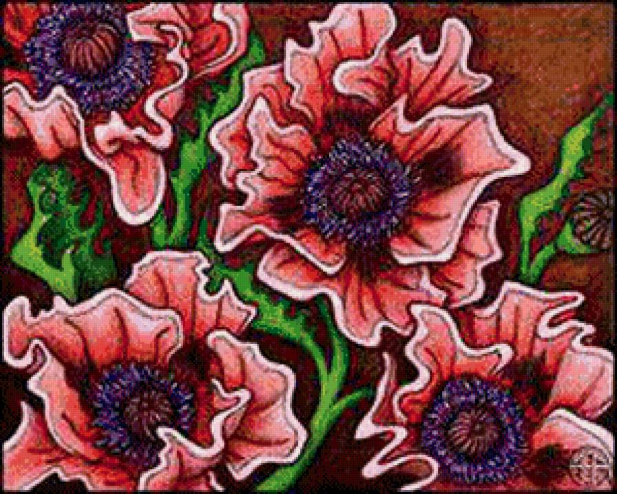 красивые маки - мак, цветы, красота - предпросмотр