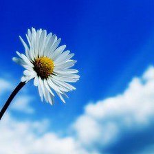 Схема вышивки «№550704»