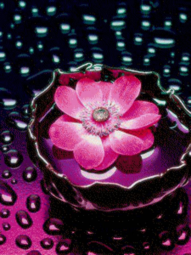 №550709 - вода, цветок - предпросмотр