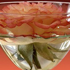 Схема вышивки «цветок в бокале»