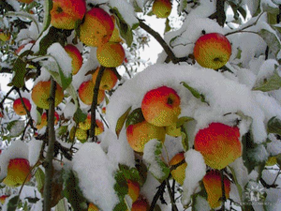 №550769 - предпросмотр